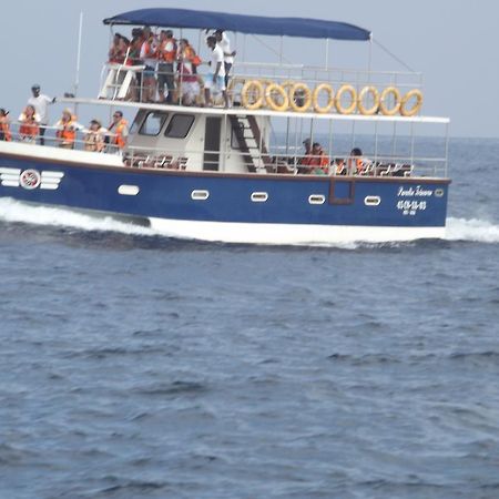 מלון Yoho Blue Lotus Guest מיריסה מראה חיצוני תמונה
